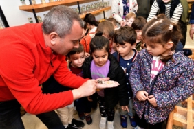 _DSC0791