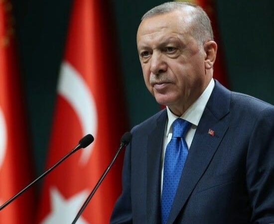 WhatsApp Image 2025-03-12 at 14.46.25