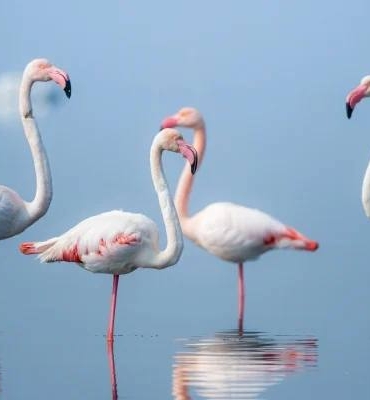 photo_5947090350206207744_x