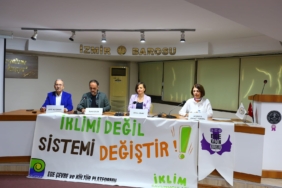 Başkan Kınay iklim yasası adil, kapsayıcı ve sürdürülebilir olmalı (4)