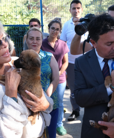 Büyükşehir Geçici Hayvan Bakımevi’nden Can Dostlara Dört Dörtlük Hizmet (18)