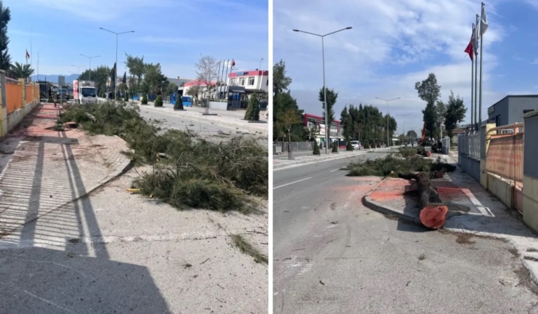 Ekran görüntüsü 2025-04-14 122220.jpggtrhtd