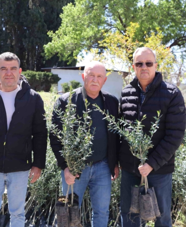 Urla’da zeytin üreticisine 7 bin fidan desteği (2)-min