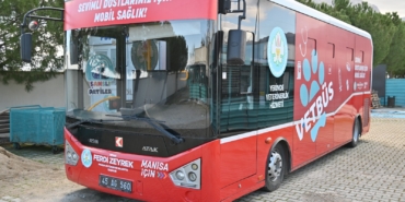 Vetbus (3)