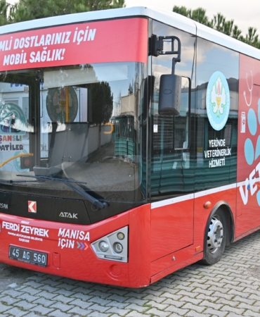 Vetbus (3)