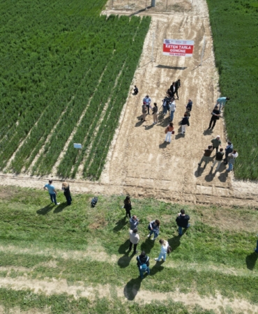 WhatsApp Image 2025-04-16 at 11.14.14