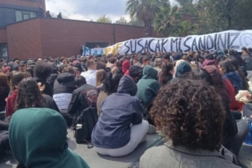 photo_6043907167985190803_y