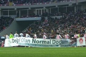 photo_6046438355421482263_x