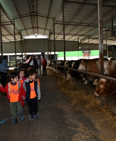 8590b8cf-37a2-4a98-9a0a-ecc930f37a60