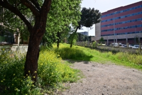 Büyükşehir’den Bozköy Deresi’ne yeni yaşam alanı (7)