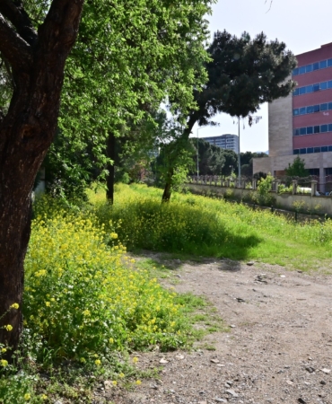 Büyükşehir’den Bozköy Deresi’ne yeni yaşam alanı (7)