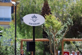 Hasan Tahsin Parkı (2)