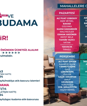 Karabağlar mobilya bahçe budama (2)