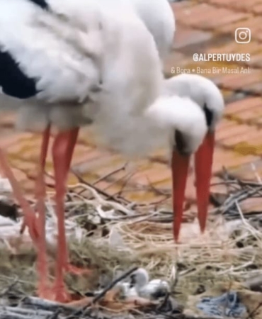 WhatsApp Image 2025-05-03 at 11.12.25