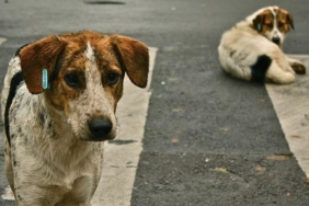 WhatsApp Image 2025-05-07 at 12.00.41