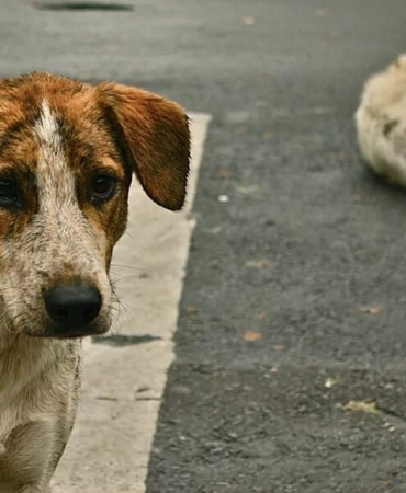 WhatsApp Image 2025-05-07 at 12.00.41