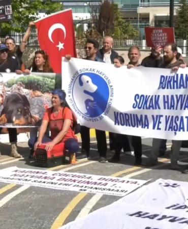 WhatsApp Image 2025-05-07 at 12.35.28