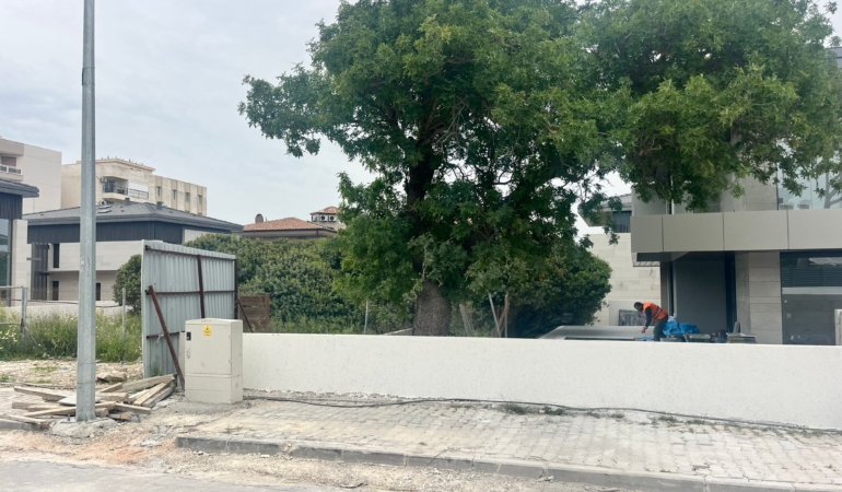 WhatsApp Image 2025-05-07 at 15.23.55