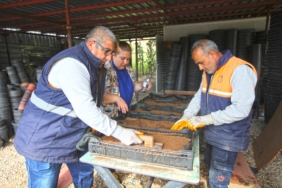 karabağlar belediyesi tohumlara hayat veriyor (3)