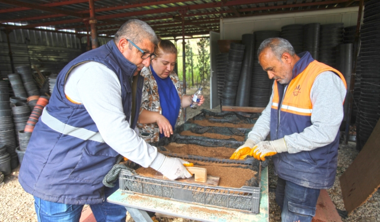 karabağlar belediyesi tohumlara hayat veriyor (3)