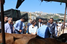karabağlar kurban satış yerleri (1)