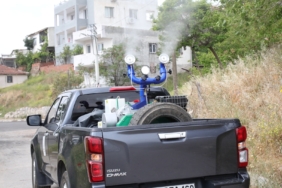 Bayraklı'da haşereyle mücadele sürüyor (5)