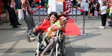 Konak’ta can dostlara özel şenlik Yeni yuvalarına kavuştular (2)