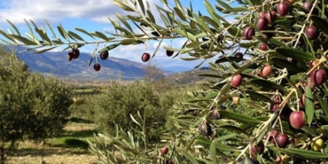 WhatsApp Image 2025-06-20 at 10.15.57