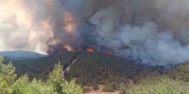 WhatsApp Image 2025-06-25 at 14.54.19