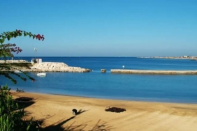 a4f472a8-7675-4a5f-a7bd-c391b90b0dbe