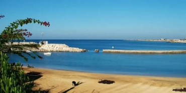 a4f472a8-7675-4a5f-a7bd-c391b90b0dbe