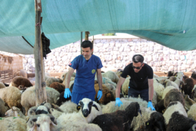 buca_kurban_pazar (4)