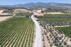 Büyükşehir’den Akhisar ve Turgutlu’ya 22 Kilometrelik Yol Çalışması (3)