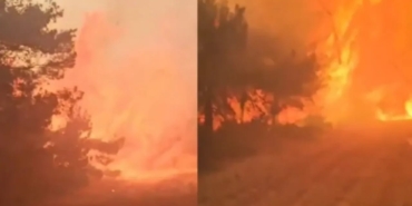 WhatsApp Image 2025-07-04 at 13.21.37