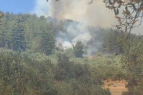 mugla-da-orman-yangini