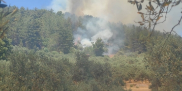 mugla-da-orman-yangini