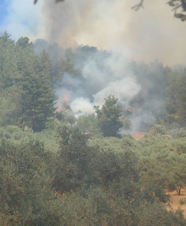 mugla-da-orman-yangini