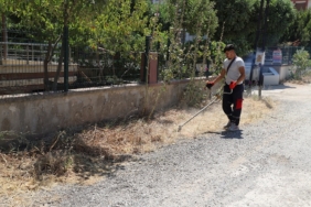 ot temizliği (3)