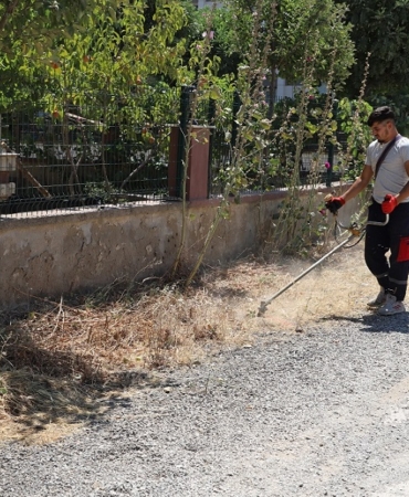 ot temizliği (3)