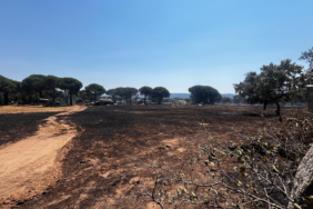 site gorsel (2)