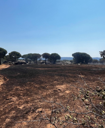 site gorsel (2)