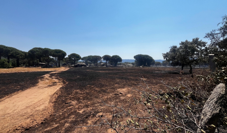site gorsel (2)