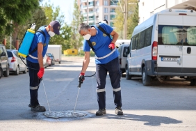 Buca’da haşere ve sineklere karşı 24 saat mücadele (2)