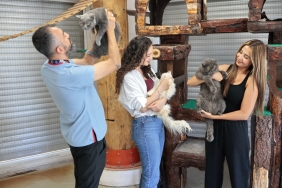 Konak’ın patili dostları ömürlük yuvalarını bekliyor (2)
