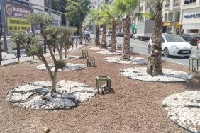 Kurakçıl Peyzaj ile Doğaya Saygılı Şehircilik (6)