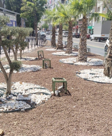 Kurakçıl Peyzaj ile Doğaya Saygılı Şehircilik (6)