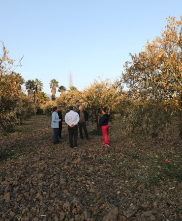 Muğla’da Çiftçilik Alarm Veriyor Gençler Meslekten Uzaklaşıyor, Gıda Güvenliği Tehlikede (3)