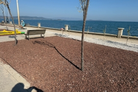 Urla Belediyesinden çevre dostu peyzaj hamlesi (5)