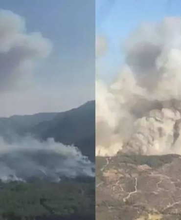 izmir-menderes-te-orman-yangini