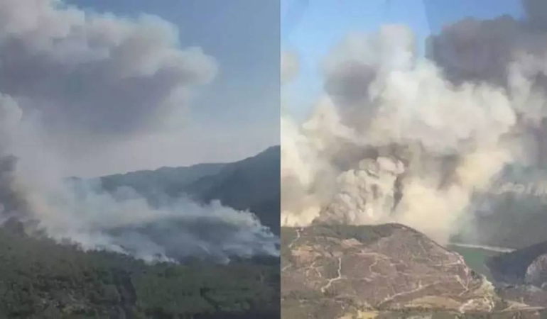 izmir-menderes-te-orman-yangini